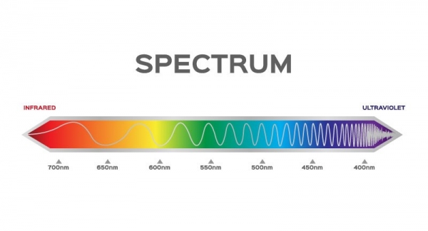 빛의 스펙트럼과 파장 (자료: ritsalak - stock.adobe.com)