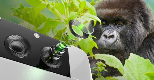 (사진2) 코닝, Corning® Gorilla® Glass 복합 소재 제품의 카테고리 확대로 모바일 기기 카메라 성능 최적화